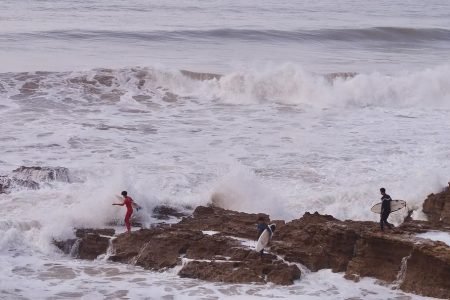 5 Day 4 Nights From Marrakech to the Atlantic Shores Morocco Beach Adventure